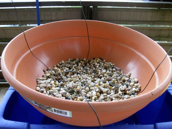 Der vorbereitete Trainingstopf, mit der Drainage aus gröberem Aquariumkies.