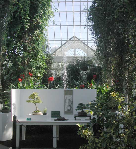 nette Stimmung mitten im botanischen Garten