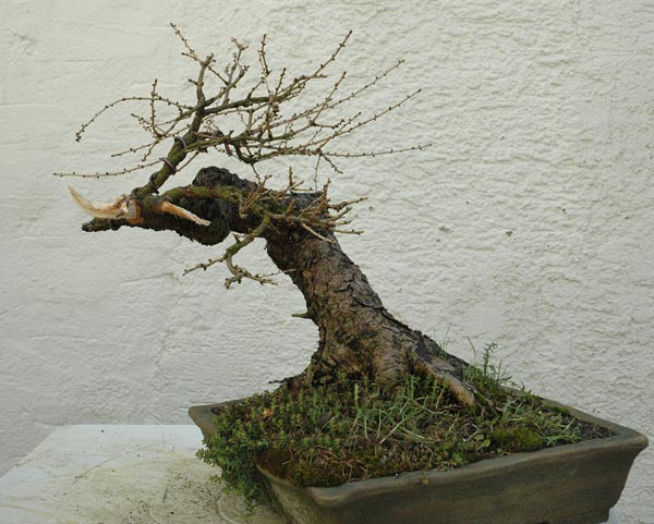 Foto5.jpg