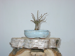 A-KIF_0918.JPG