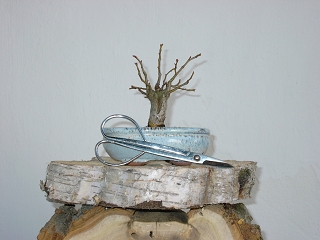 A-KIF_0919.JPG