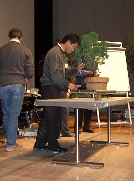 Imai02.jpg