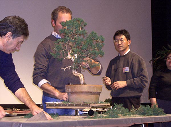 Imai03.jpg