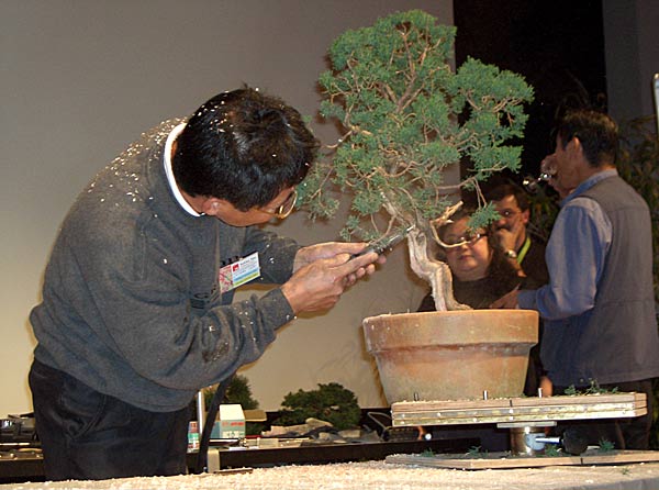 Imai04.jpg