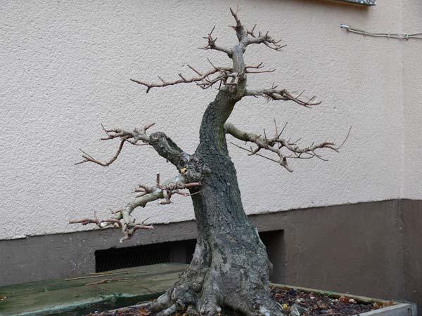 Herbst-2-2007.jpg