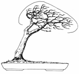 image022.gif