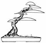 image020.gif