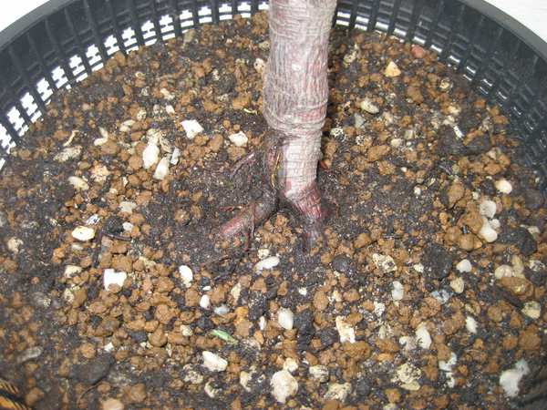 comp 70IMG_2414.jpg