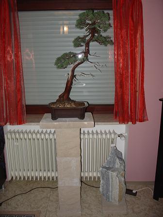 DSC01608.JPG