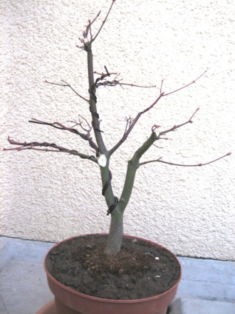 Nachher