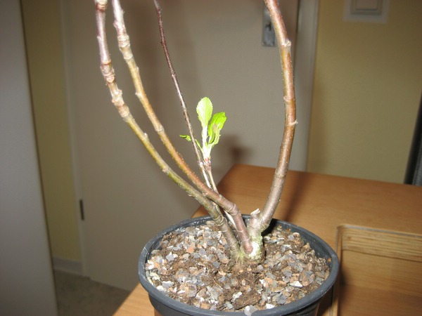 comp 70IMG_2422.jpg