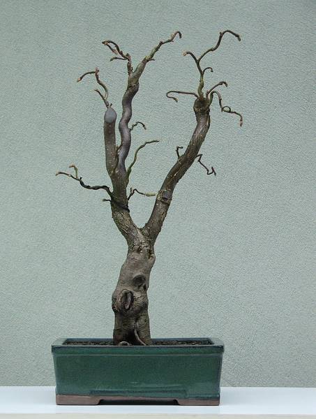 DSCF0652.JPG