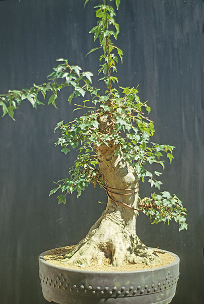 1997-06-Magazin03-Bild46.jpg