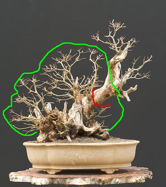 Pall Cornus.jpg