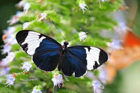 DSC_2612.jpg
