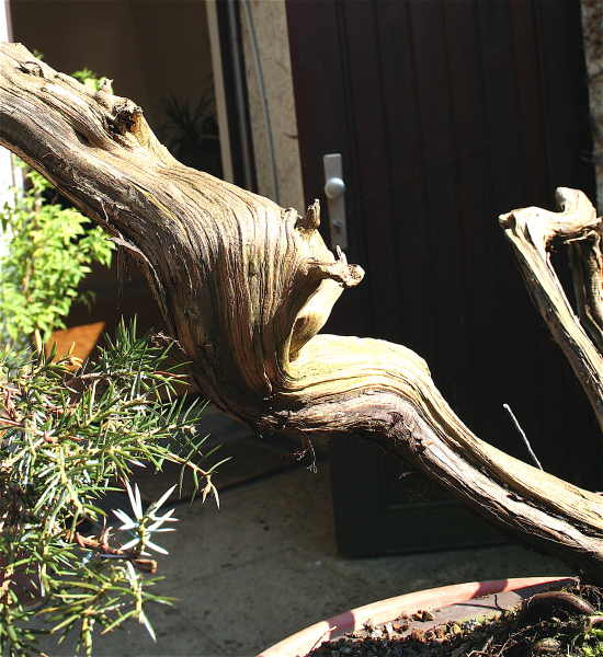 Stammdetail