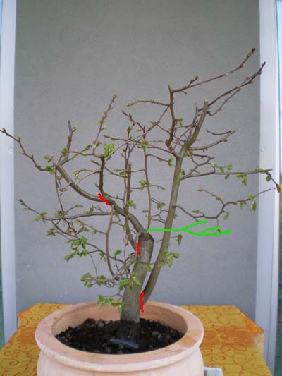 4 Hain ganz 0409 1kleinneu.JPG