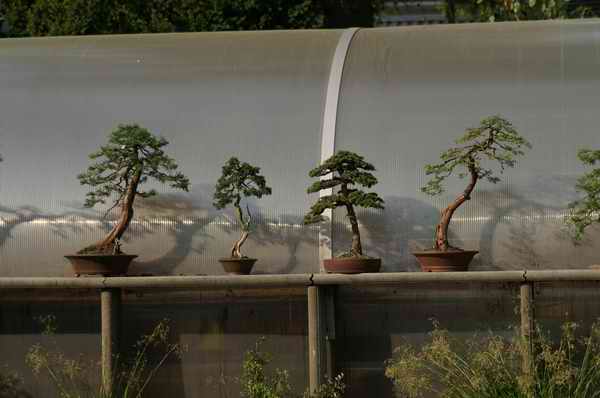 PICT8456.JPG