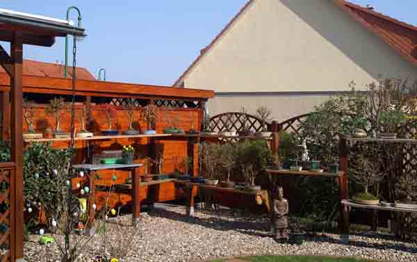garten 1.jpg