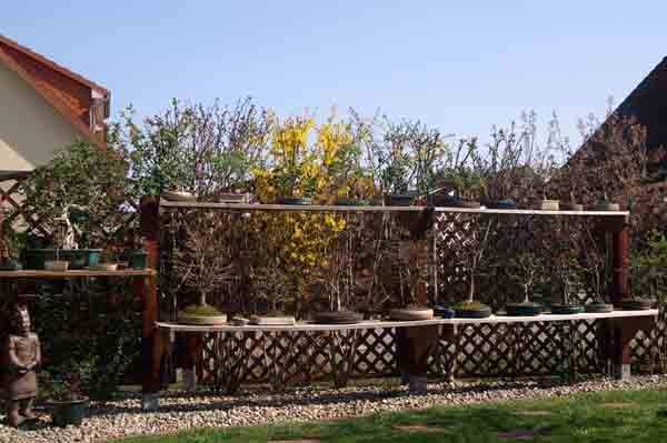 garten 2.jpg