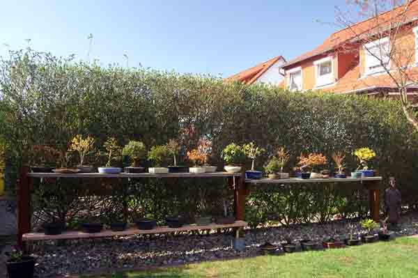 garten 4.jpg