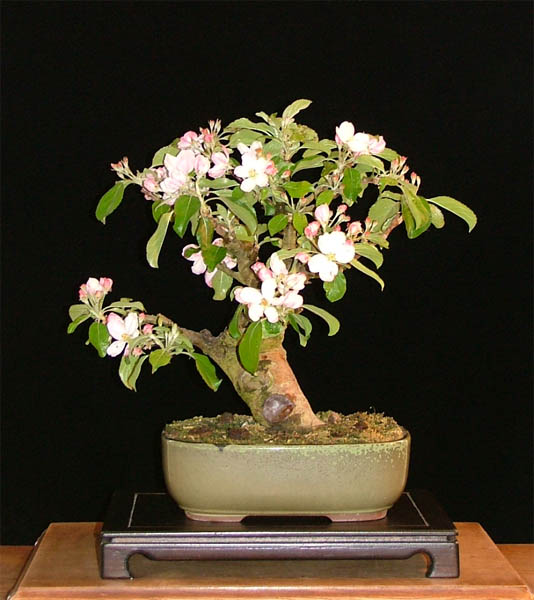 DSCF4859k.jpg