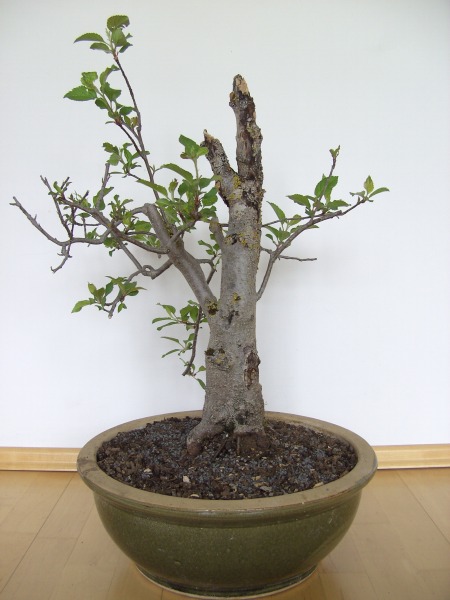 28.04.2009 002_b.jpg