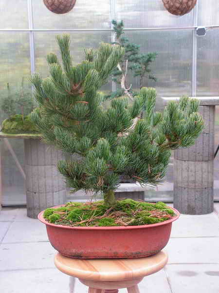 PICT0209.JPG