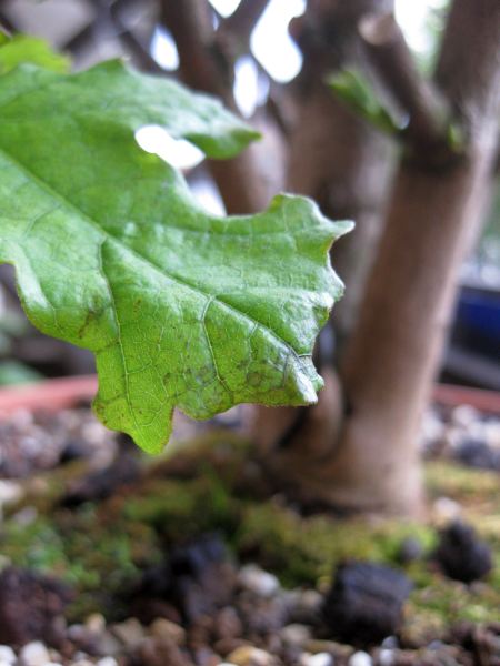 03_20090428.jpg