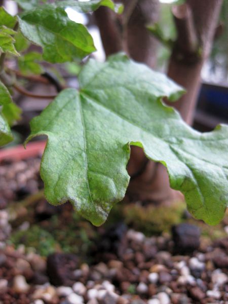 05_20090428.jpg