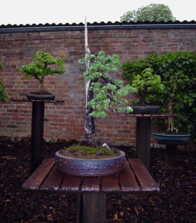 a 012.jpg
