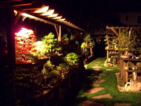 WolfgangApril2009_Nacht1.jpg