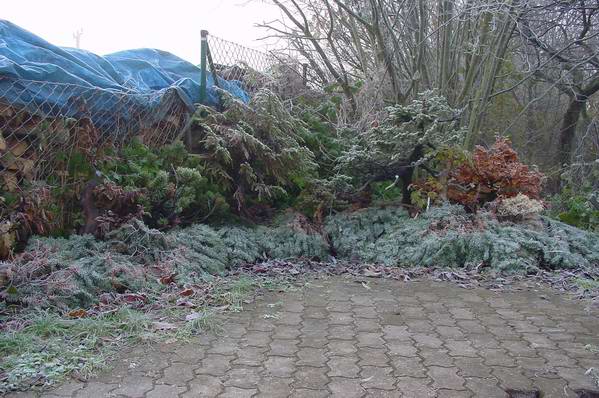 Winter-2.jpg