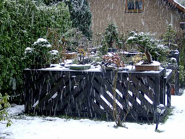 Wintereinbruch1.jpg