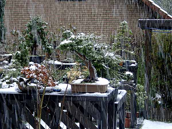 Wintereinbruch2.jpg