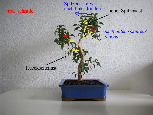 phillip_schnitte_net.jpg