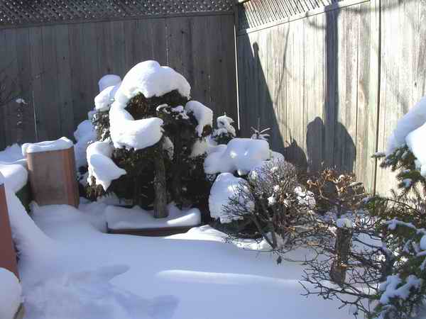DSCN0020.JPG
