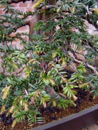 08.05.2009 007.jpg