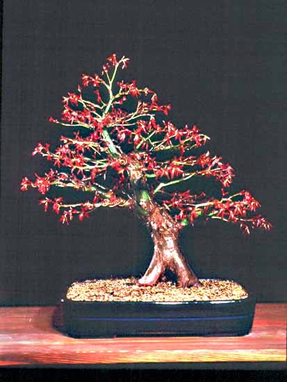 Mai 2002