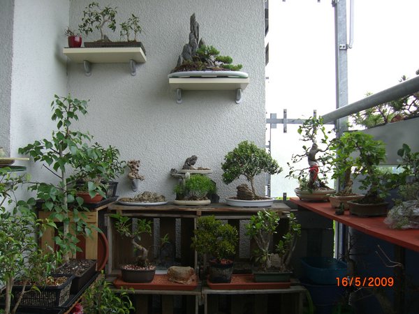 Mein Balkon ist im 3. Stockwerk und zeigt Richtung Süden. Der Beton heizt sich im Sommer sehr stark auf und speichert die Wärme. Deshalb gibt es auch keine gute Nachtabkühlung.