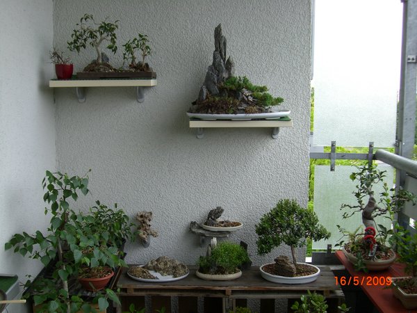 Wahrscheinlich werde ich mir noch weitere Bretter kaufen und diese Rot lasieren, damit sich ein einheitliches Bild ergibt.
