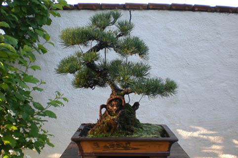 MädchenKMai091P.jpg