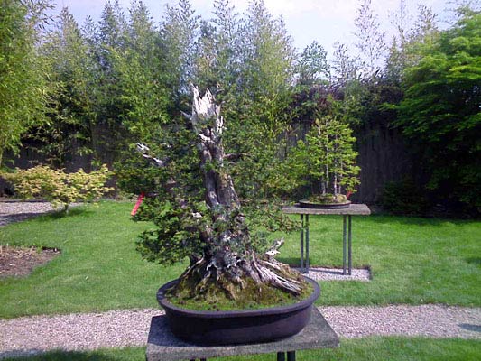 heidelbergmai12.jpg