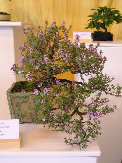 neue Bilder 845319.jpg