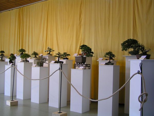 neue Bilder 845317.jpg