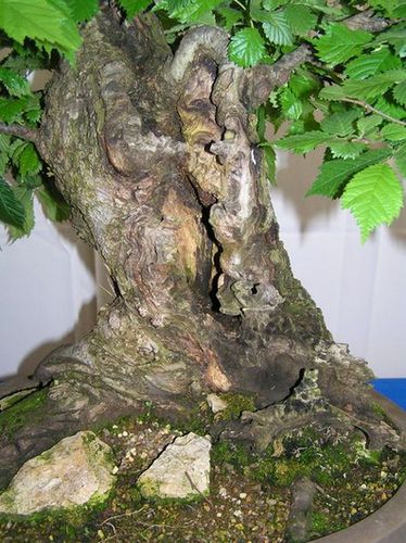 neue Bilder 845335.jpg