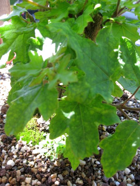 03_20090517.jpg