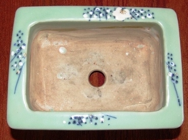 DSCF4179 - Kopie.JPG