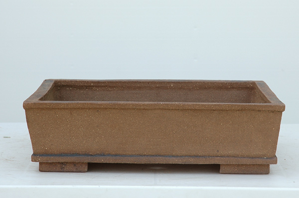 schale-24.5.9.jpg