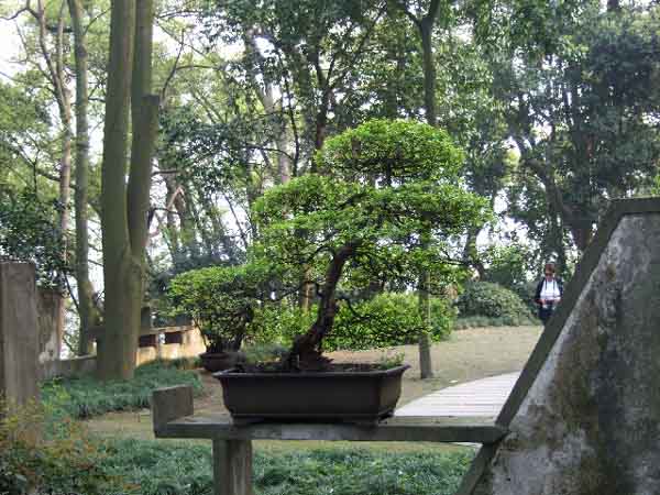 2009-04-06-16_14_24-China-GiM-815_k.jpg